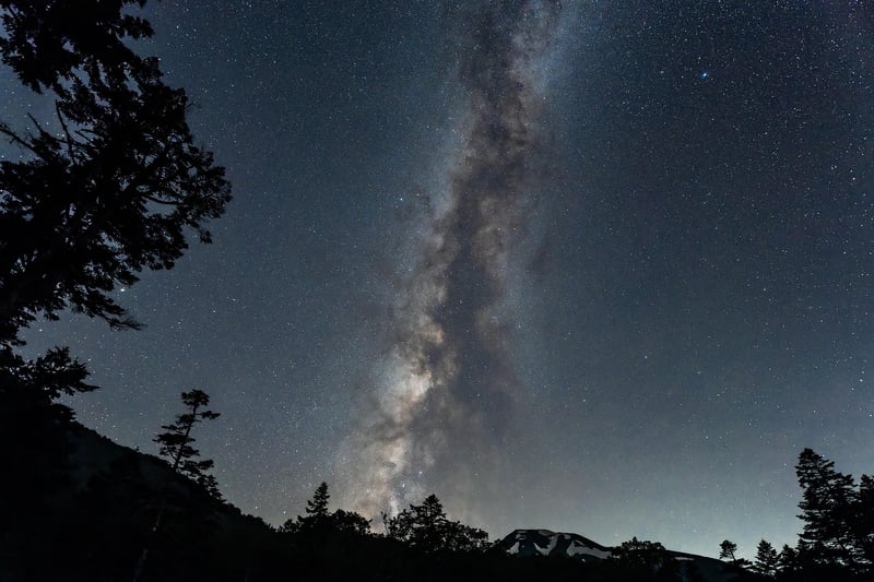 Milky Way Garden